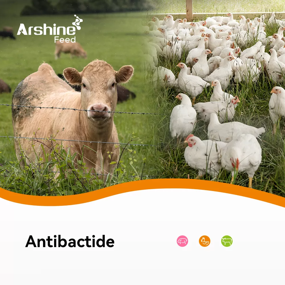 Antibactide