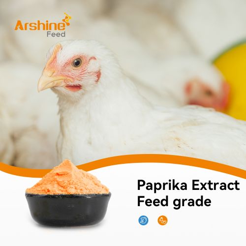 Paprika Extract Feed grade/Capsaicinoids /0.5% Capsaicinoids/1% Capsaicinoids