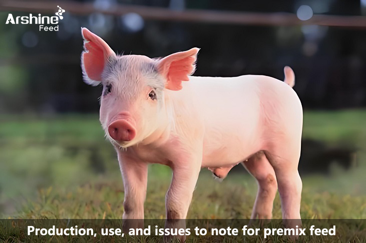 Production, use, and issues to note for premix feed