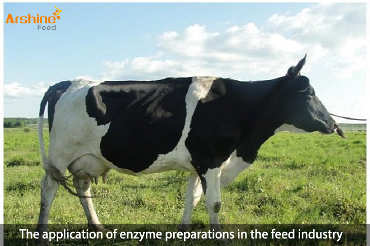 The application of enzyme preparations in the feed industry