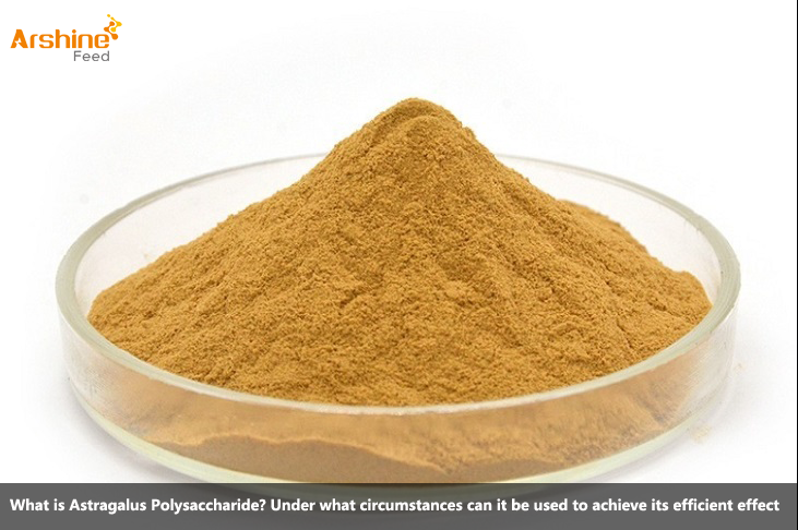 What is Astragalus Polysaccharide? Under what circumstances can it be used to achieve its efficient effect