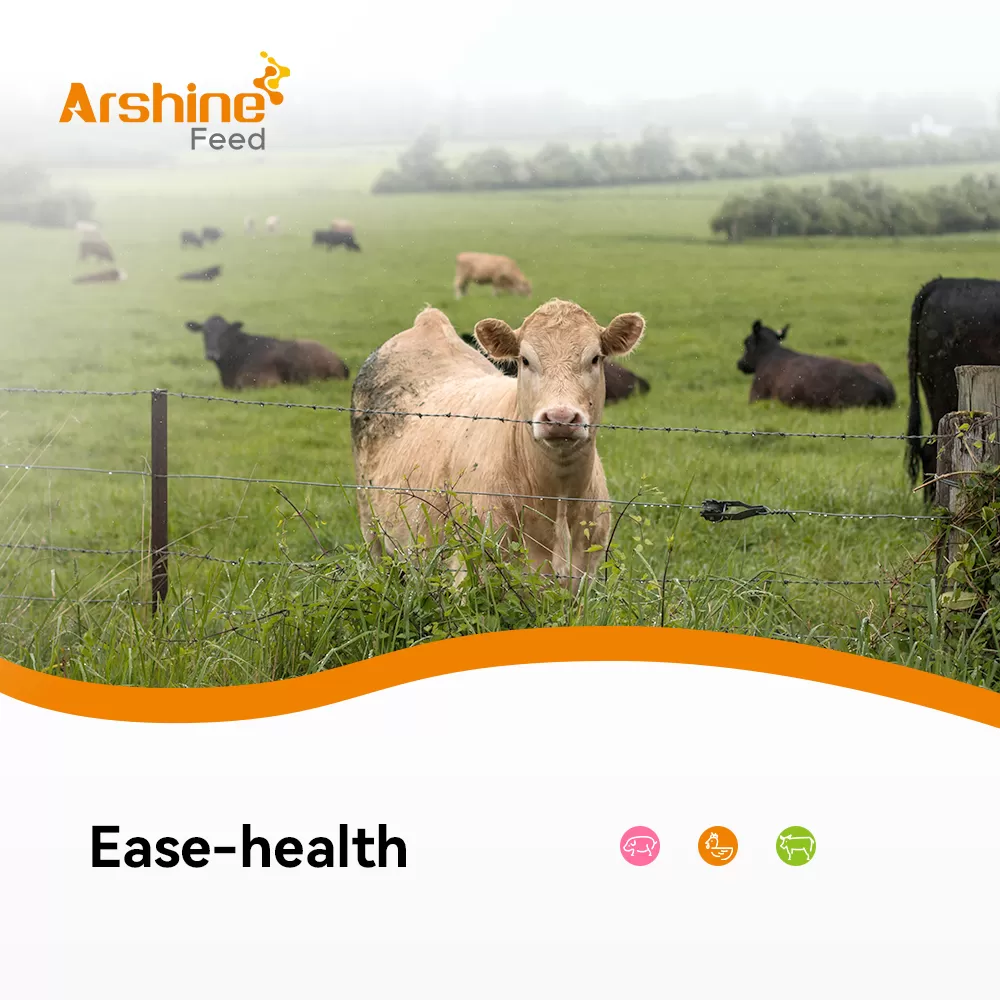 Ease-health