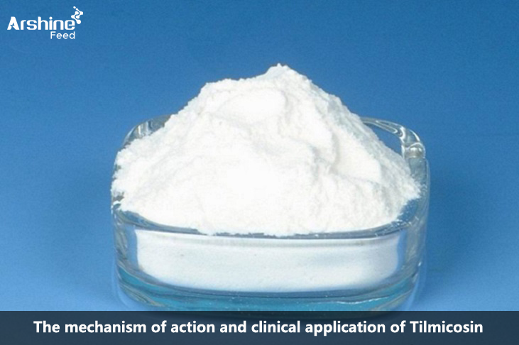 Tilmicosin Coated