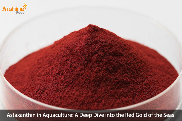 Astaxanthin in Aquaculture: A Deep Dive into the Red Gold of the Seas
