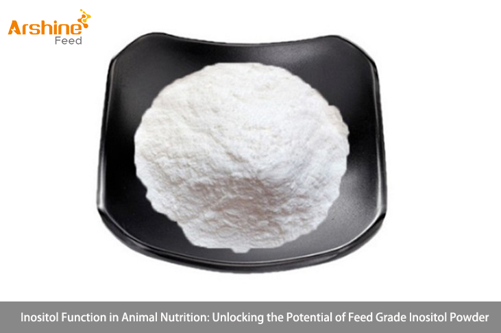 Inositol Function in Animal Nutrition: Unlocking the Potential of Feed Grade Inositol Powder