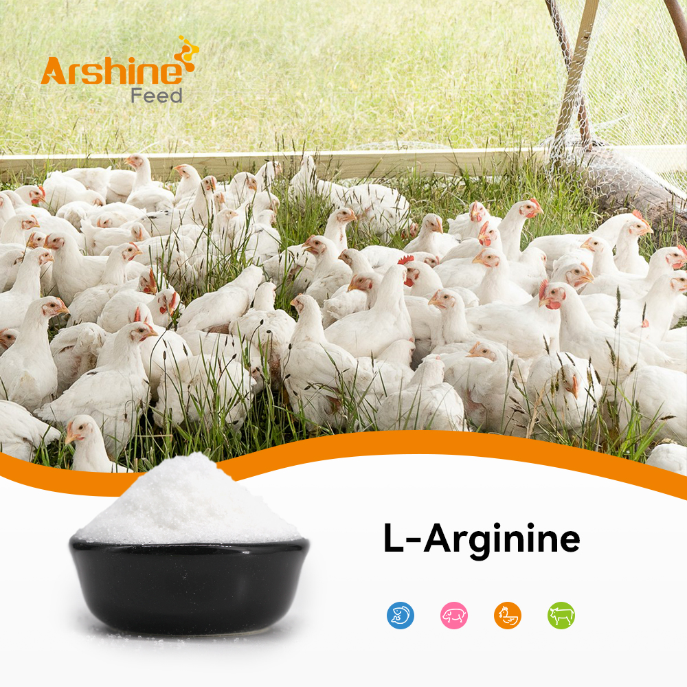 L-Arginine