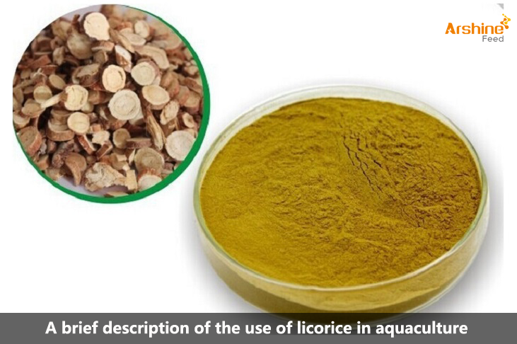 A brief description of the use of licorice in aquaculture