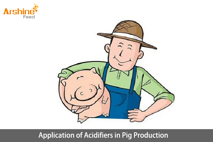 Application of Acidifiers in Pig Production