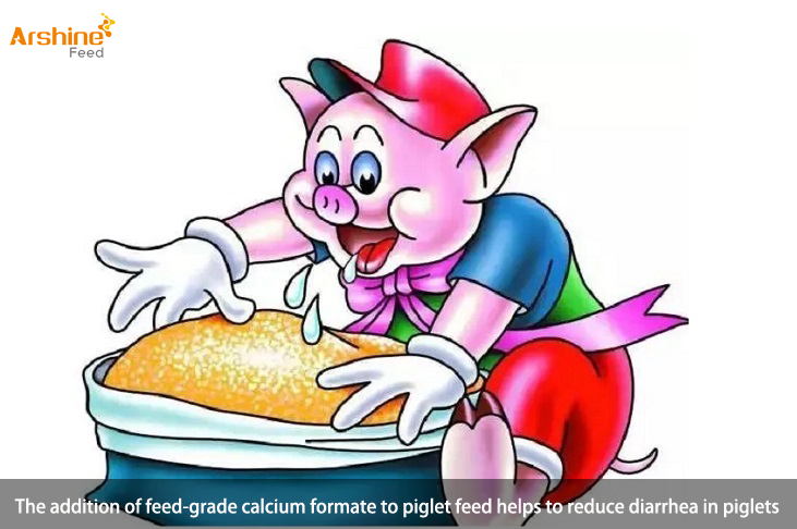 The addition of feed-grade calcium formate to piglet feed helps to reduce diarrhea in piglets