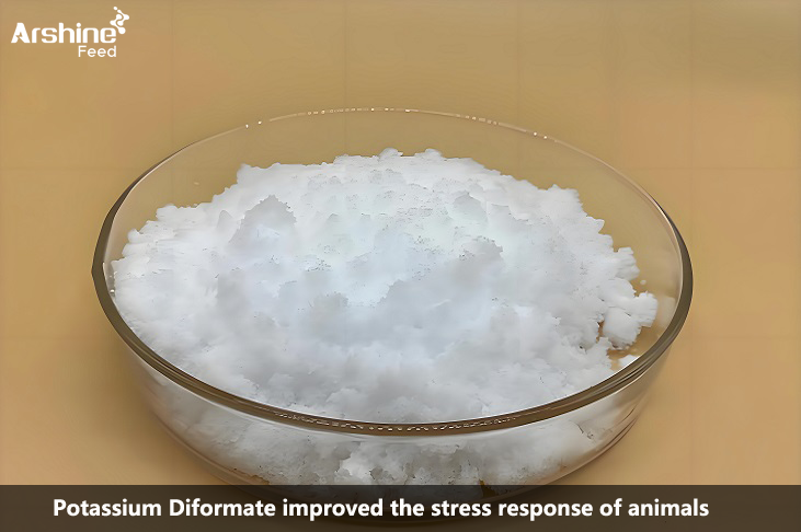 Potassium Diformate improved the stress response of animals