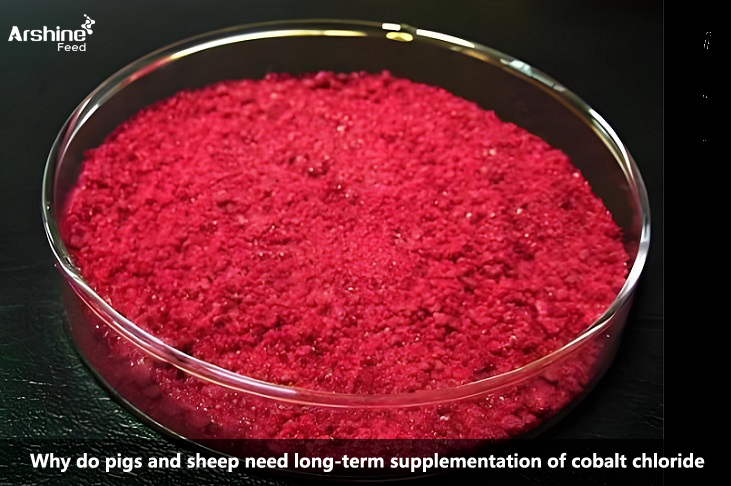 cobalt chloride powder