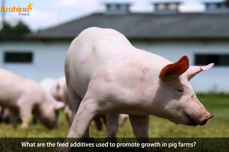 What are the feed additives used to promote growth in pig farms?