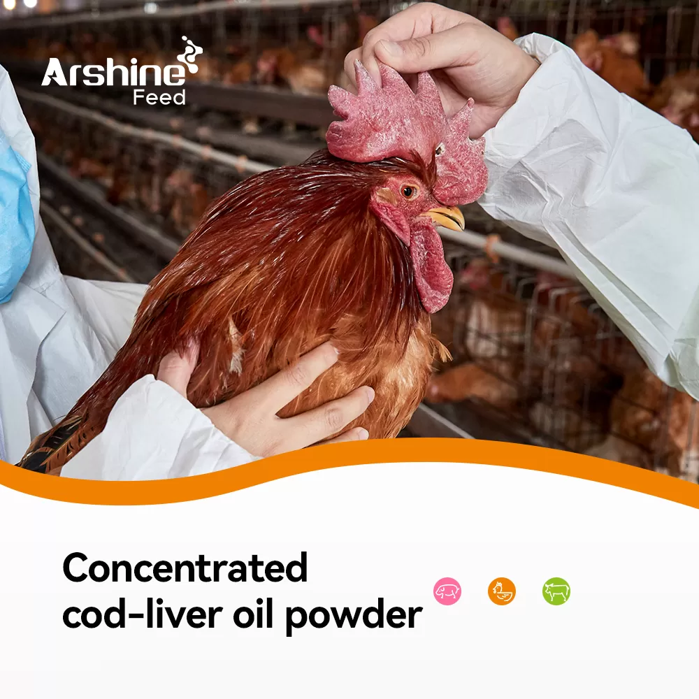 Concentrated cod-liver oil powder