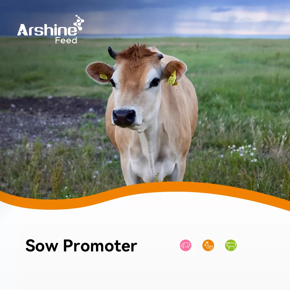 Sow Promoter
