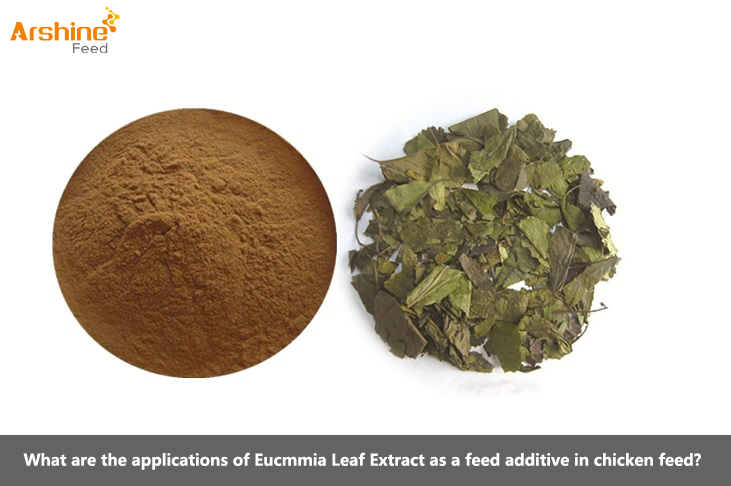 Eucmmia Leaf Extract