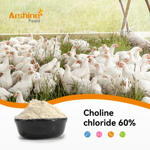 Choline chloride 50%/60%/70% Feed Grade