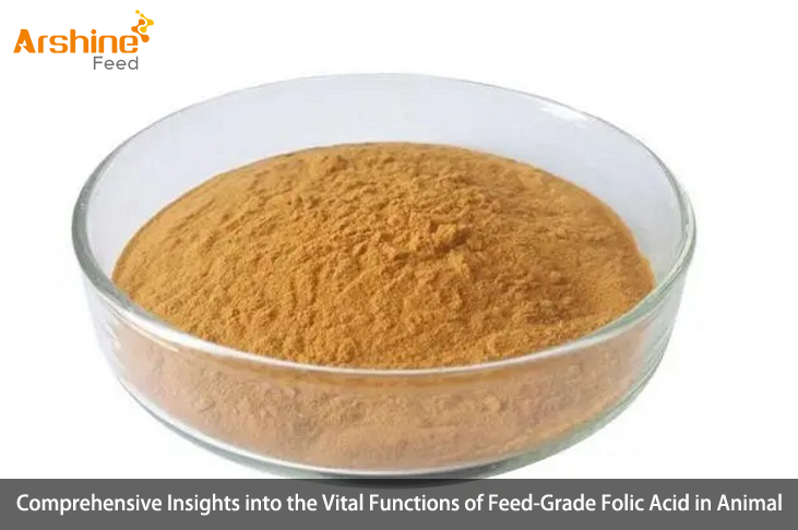 Comprehensive Insights into the Vital Functions of Feed-Grade Folic Acid in Animal