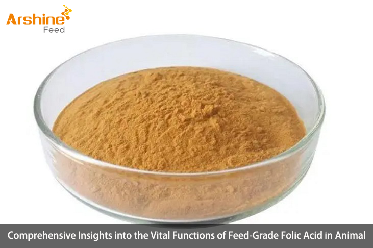 Feed-Grade Folic Acid