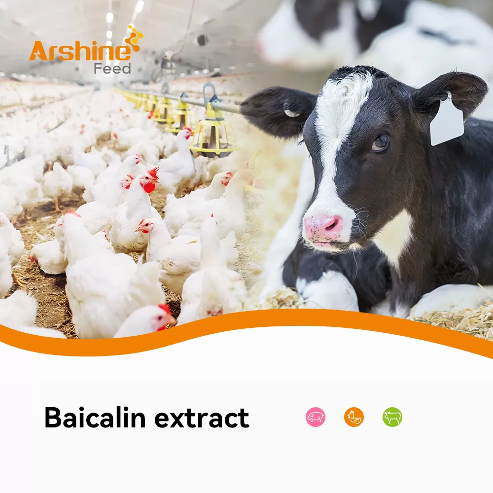 Baicalin extract